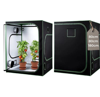 UFTA Kweektent - Binnen 80x80x180cm - Growtent - Plantentent Compleet - 600D Oxford - Lichtdicht - Reflecterend Interieur - Zwart