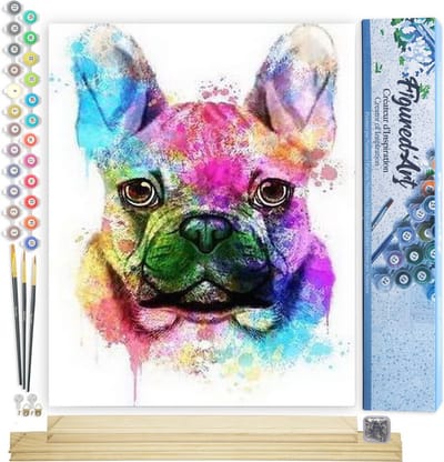 Figured'Art Schilderen op Nummer Volwassenen canvas Hondenportret in kleur - Handwerk acrylverf Kit DIY Compleet - 40x50cm met DIY houten lijst