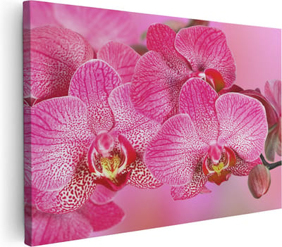 Artaza Canvas Schilderij Bloemen - 30x20 cm - Klein - Wanddecoratie Orchidee - Muurdecoratie Woonkamer - Kamer Accessoires Roze