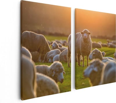 Artaza Canvas Schilderij Tweeluik Kudde Schapen bij Zonsondergang - 80x60 - Foto Op Canvas - Canvas Print