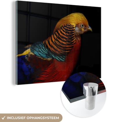 MuchoWow® Glasschilderij 160x120 cm - Schilderij acrylglas - Vogel - Veren - Zwart - Portret - Foto op glas - Schilderijen