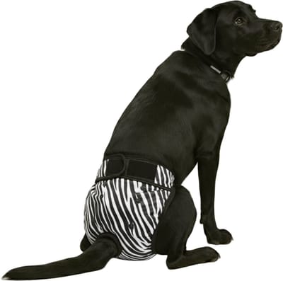 Loopsheidbroekje hond - zebra - maat XL - voor grote honden - herbruikbaar - hondenbroekje - hondenluier - loopsheid - ongesteldheid - voorkomt ongewenste zwangerschappen bij teefjes - milieuvriendelijk - verantwoord - perfecte pasvorm