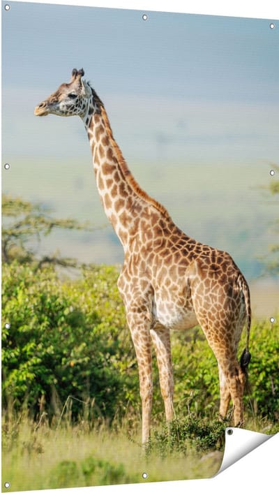 Gards Tuinposter Giraffe in het Wild tussen de Struiken - 100x150 cm - Tuindoek - Tuindecoratie - Wanddecoratie buiten - Tuinschilderij