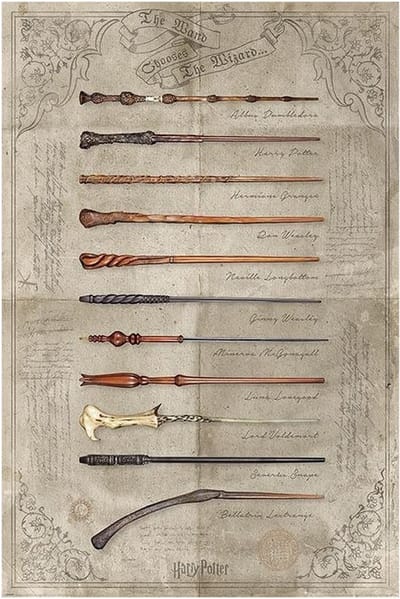 Harry Potter - The Wand Chooses the Wizard