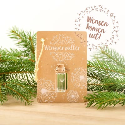 Klein wenspotje - echt paardebloem-pluisje in glas - handgemaakt - cadeau voor elke gelegenheid - maatschappelijk verantwoord