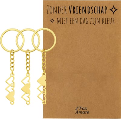 BFF Sleutelhanger voor 3 'Zonder Vriendschap mist een dag zijn kleur' - Hartjes - Sleutelhanger set op Cadeau Kaartje - Goudkleurig - Vriendschap Symbool - Pax Amare