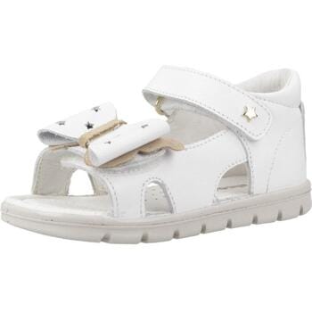 Platte sandalen Falcotto Aklia