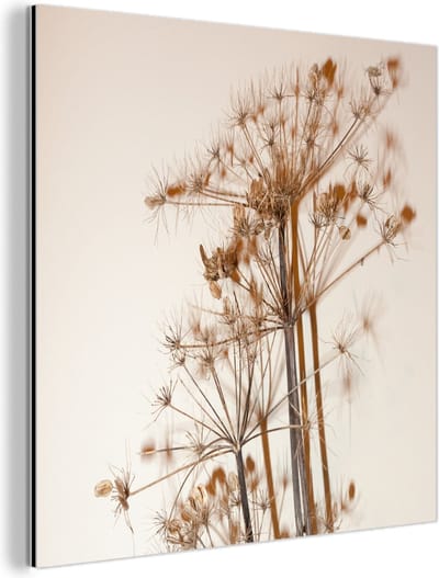 Aluminium schilderij 90x90 cm - Wanddecoratie metaal - Droogbloemen - Stilleven - Wit - Planten - Bloemen - Metalen muurdecoratie woonkamer - Decoratie industrieel - Foto op dibond - Industriële accessoires slaapkamer