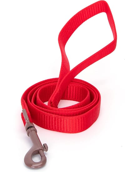 Nobleza Hondenriem - Maat S - Lengte 120 cm - Puppyriem - Looplijn hond - Uitlaatriem - Hondenlijn - Leiband hond - Nylon - Rood