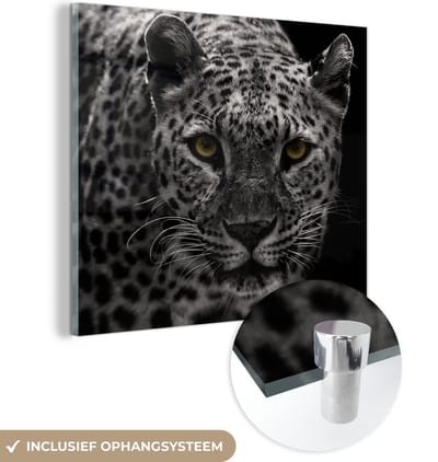 MuchoWow® Glasschilderij 50x50 cm - Schilderij acrylglas - Luipaard - Zwart - Wit - Foto op glas - Schilderijen