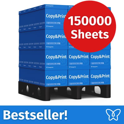 NIEUW: Easyprint Printerpapier Kopieerpapier 150000 Vel 60 x 2500 A4 Premium Extra Wit CIE 160 Testwinnaar PEFC-gecertificeerd