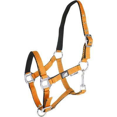 Halsband voor veulen met dubbele afstelling Supreme