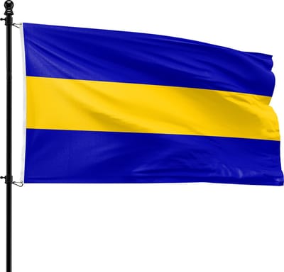VlagDirect - Rijswijk vlag - Gemeente Rijswijk vlag - 90 x 150 cm.