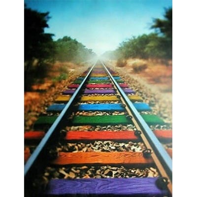 Doe-het-zelf Diamantschilderij Aquarel Rail Diamantborduurwerk Dieren Kunst 5D Diamant Schilderijen 20X30CM beige