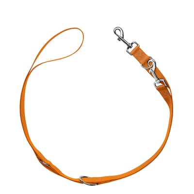 HUNTER Set: Halsband London M + riem London 200cm/10mm, oranje
