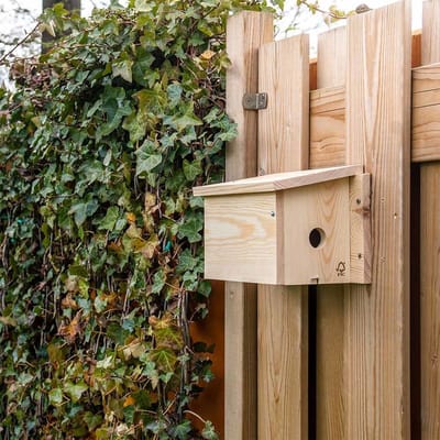 CJ Wildlife Systeem Nestkast - Aanbevolen door de Vogelbescherming Nederland - Rechts - 34mm - Nestkastje voor o.a. Koolmees, Boomklevers & Mussen - Houten Vogelhuisje