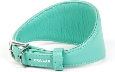 WAUDOG Glamour Halsband Windhond - Italiaans leder - Mint - S - Nekomtrek: 34 - 40 cm (GELIEVE ALVORENS BESTELLEN OPMETEN)