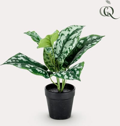 Kunstplant - Scindapsus Pictus - Geluksplant - 30 cm