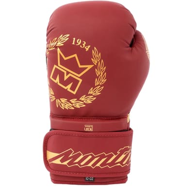 Trainingshandschoenen voor boksen Montana Energy Legend