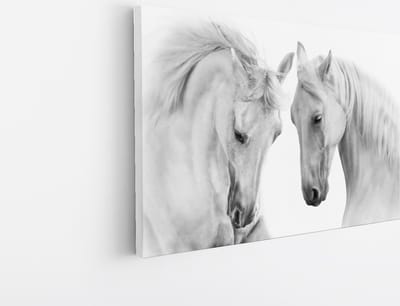 Saammp Canvas Schilderij - 2 Paarden - Liefdevol - Natuur - Dieren - 45x30 - Foto op canvas - Wanddecoratie - Muurdecoratie Woonkamer - Slaapkamer decoratie - Canvas Print