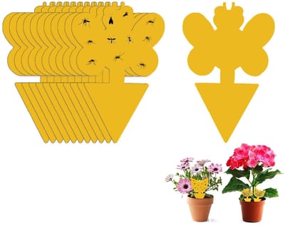 Allecto - Fruitvlieg Kleverige Val - Insectenval voor Planten - Geel - Schimmel Muggenval - Effectieve Vangst van Vliegende Insecten - Geschikt voo...