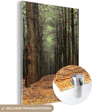 MuchoWow® Glasschilderij 30x40 cm - Schilderij acrylglas - Herfst - Landelijke decoratie - Bos - Foto op glas - Schilderijen