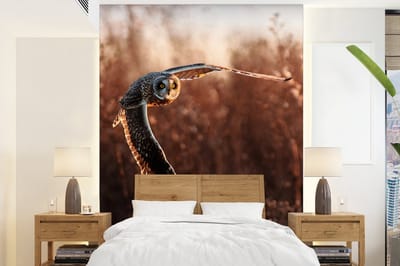Behang - Fotobehang Vogel - Uil - Zonsondergang - Natuur - Breedte 205 cm x hoogte 280 cm