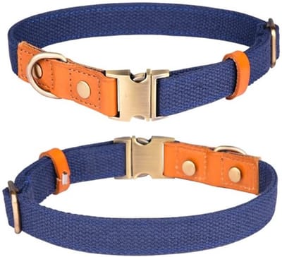 Allecto - Nylon halsband - Verstelbaar - Metalen veiligheidsgesp