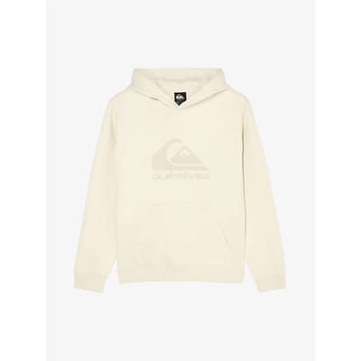 Quiksilver Comp Logo Hoodie Beige 14 Years Jongen
