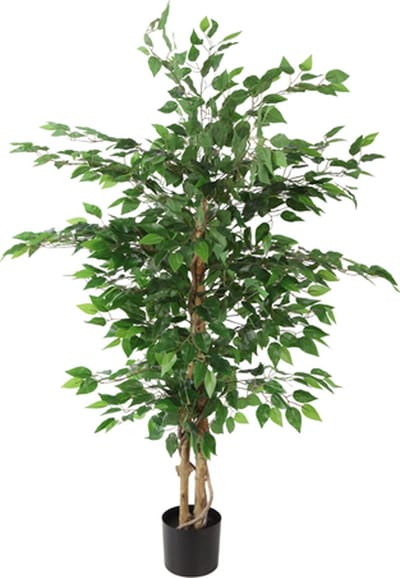 Ficus benjamina kunstplant | Ficus boom kunstplant | Binnenplant kunst | Artificial Plant | Countryfield kunstplanten | Groene kunstplant