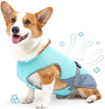 Koelvest Hond L - Coolvest - Verkoelende Jas - Cooling Vest - Koeljas Hond - Verkoeling Hond - Ademende Mesh Hondenjas - UV-bescherming - Verstelbaar - Verkoelende Harnas - Verkoelende Hondenvest - ijsvest - Blauw
