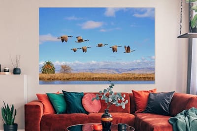 Canvas schilderij 150x100 cm - Wanddecoratie Ganzen - Lucht - Water - Muurdecoratie woonkamer - Slaapkamer decoratie - Kamer accessoires - Schilderijen