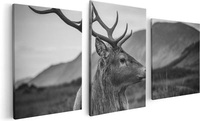 Artaza Canvas Schilderij Drieluik Hertenkop - Hert - Zwart Wit - 120x60 cm - Wanddecoratie Woonkamer - Schilderijen - Muurdecoratie