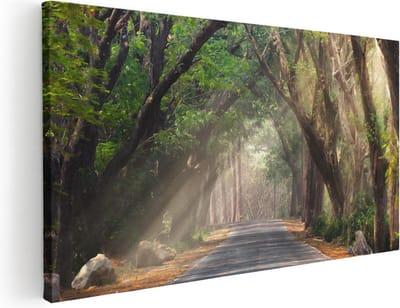 Artaza Canvas Schilderij Bos - 40x20 cm - Klein - Wanddecoratie Landschap - Muurdecoratie Bomen - Schilderijen Op Canvas Natuur