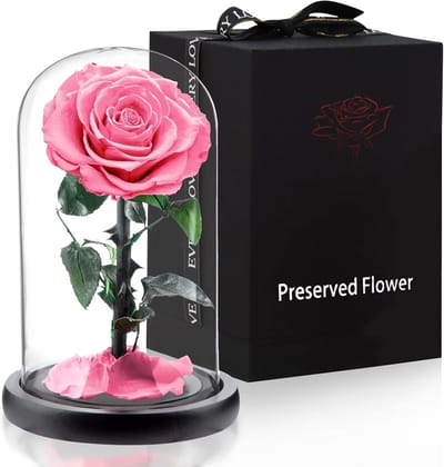Eeuwige Roos in Glazen Stolp - Cadeau voor Vrouwen, Vriendin of Moeder