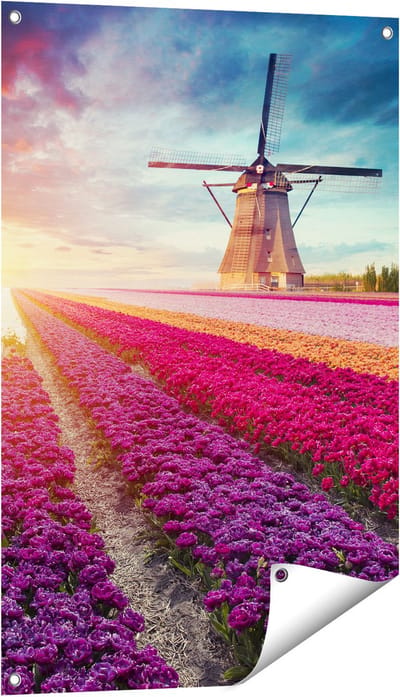 Gards Tuinposter Kleurrijke Tulpen Bloemenveld - Windmolen - 60x90 cm - Tuindoek - Tuindecoratie - Wanddecoratie buiten - Tuinschilderij