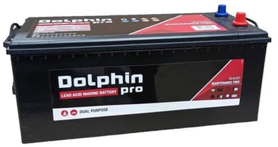 Dolphin PRO scheepsaccu - 180Ah 12V