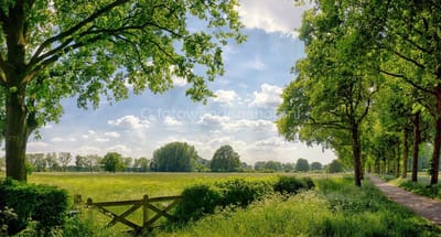 Fotobehang boerenhek in weiland 250 x 260 cm - € 175,--