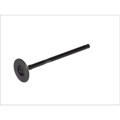 Uitlaatklep FRECCIA R6295/RNT
