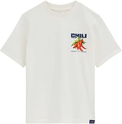 WE Fashion Jongens T-shirt met print