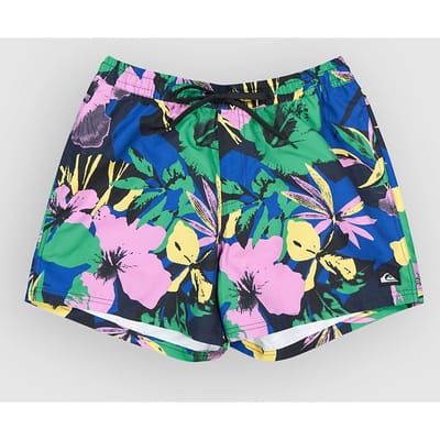 Quiksilver Everyday Printed Volley 15´´ Zwembroek Veelkleurig L Man