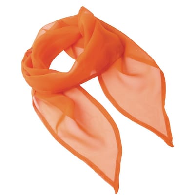 Premier Dames/Dames Chiffon Sjaal (Terracotta)