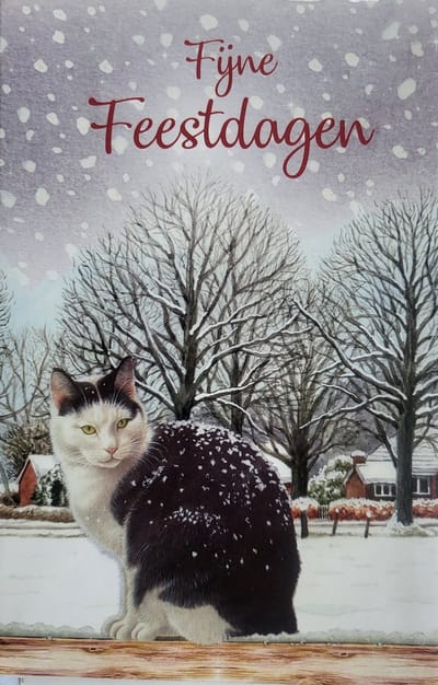 Kerstkaarten zwart / witte kat in sneeuw Franciens katten - 8 dubbele wenskaarten met 8 enveloppen - fijne feestdagen - kerst kaart