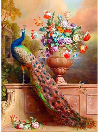 Sellaio® Schilderen op Nummer Volwassenen – Schilderen op Nummer Vogels en Dieren - Pauw – Paint by Number – 40x50 cm – Compleet Pakket