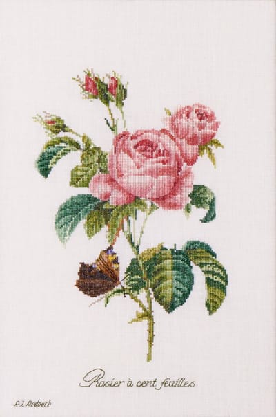 Thea Gouverneur - Borduurpakket met telpatroon - 2030A - Voorgesorteerde DMC Garens - Roos Redoute - Aida - 26 cm x 38 cm - DIY Kit