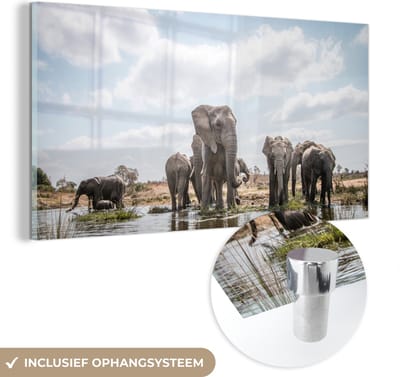 MuchoWow® Glasschilderij 40x20 cm - Schilderij acrylglas - Olifant - Water - Afrikaans - Foto op glas - Schilderijen