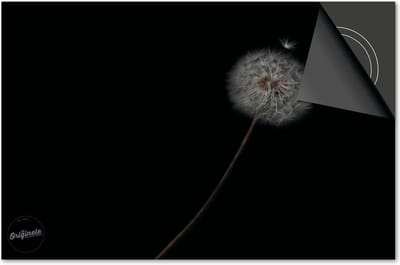 Inductie beschermer 60x60 - afdekplaat inductie mat - Dietrix Kookplaat beschermer - Exclusief - Zwart - Dandelion paardebloem