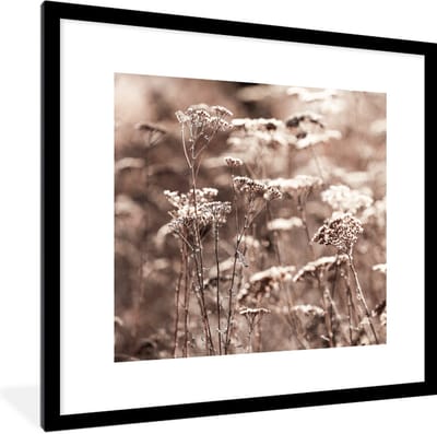 Fotolijst incl. Poster - Planten - Bloemen - Winter - Sneeuw - Sepia - 40x40 cm - Posterlijst