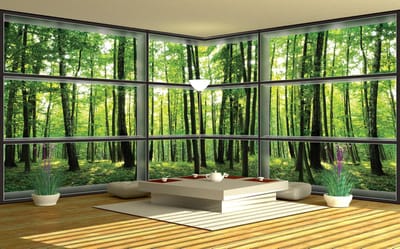 Fotobehang Vlies Bos, Natuur | Groen | GROOT 832x254cm