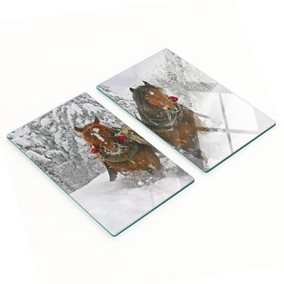 Stijlvolle en duurzame glazen borden met print van een sleetocht, 2x30x52 cm